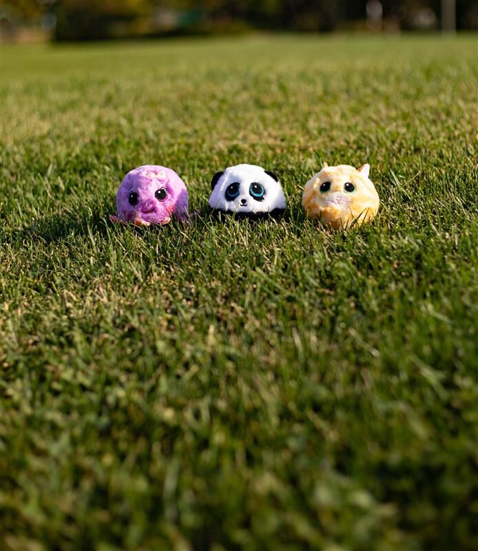 Three bouncers in the grass